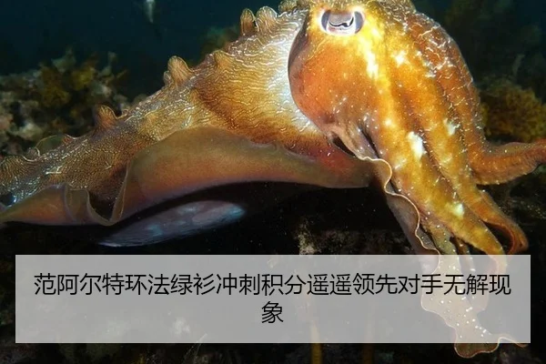 范阿尔特环法绿衫冲刺积分遥遥领先对手无解现象